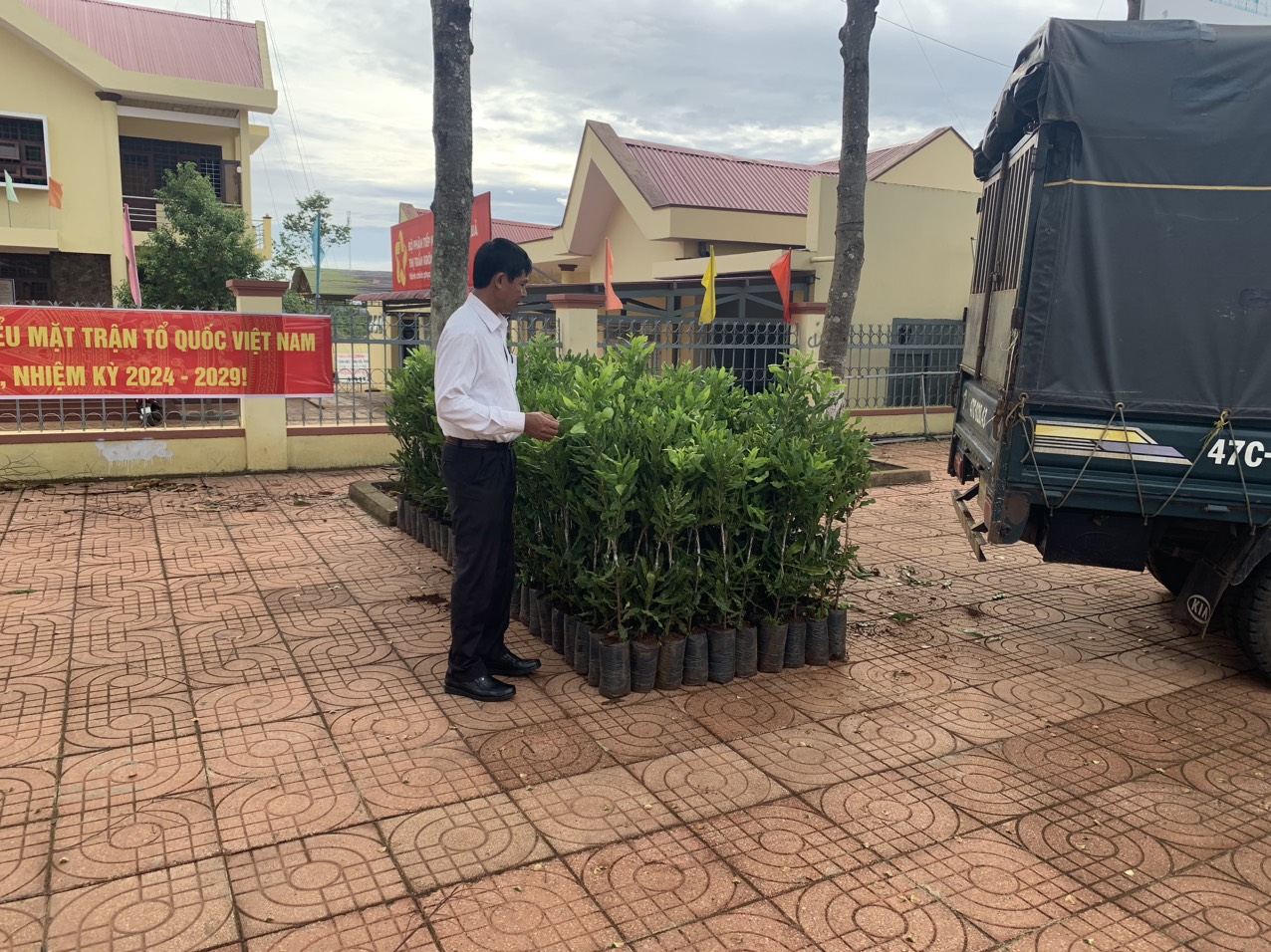 Huyện Krông Năng hỗ trợ cây giống cho người dân vùng Chương trình Compact